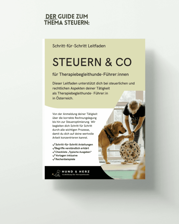 Kombi-Paket: Webinar und Leitfaden zum Thema "Steuern und Co" – Bild 3