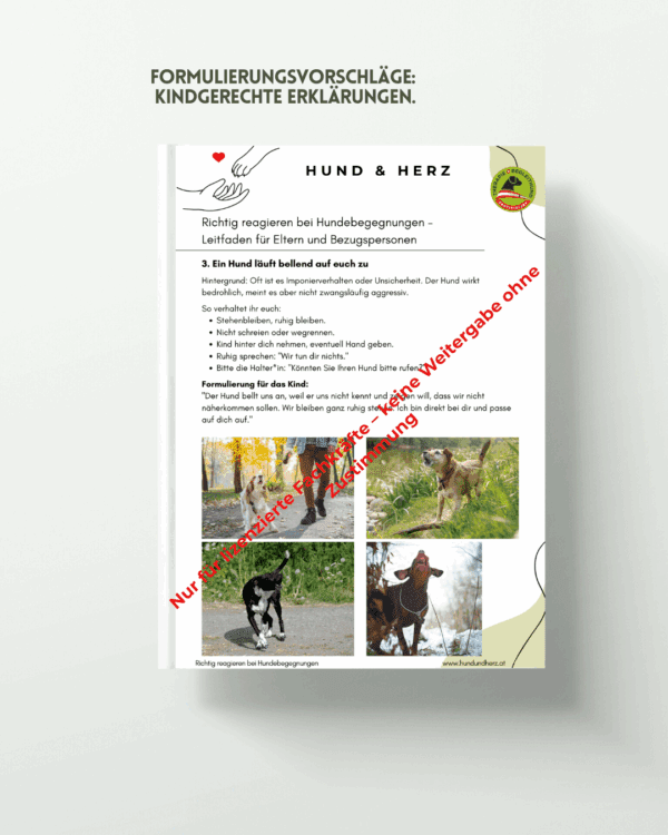 🐾 Leitfaden „Souverän reagieren bei Hundebegegnungen“ – Bild 4