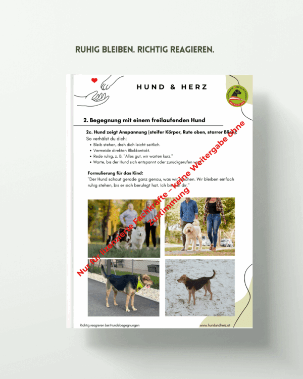 🐾 Leitfaden „Souverän reagieren bei Hundebegegnungen“ – Bild 3