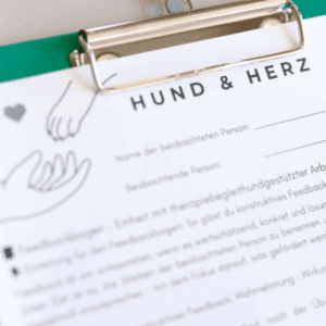 Fortbildung zur Expert:in bei Hundeangst – Modul 2