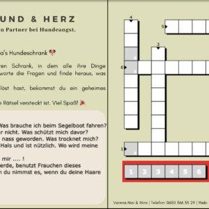 Wie kann ich Wissen über Hunde spielerisch an Klient:innen weitergeben?